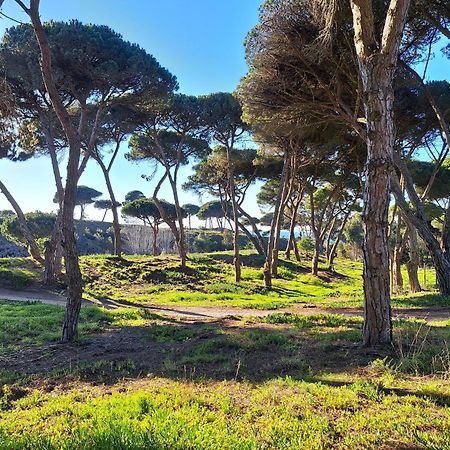 Sea Wave Sounds, Meco, By The Beach Sesimbra Eksteriør bilde